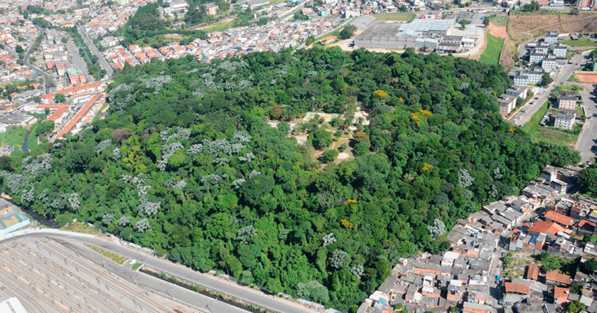 Parque Santo Dias e a luta da população periférica no Capão Redondo