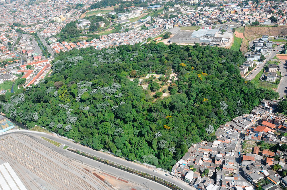 Parque Santo Dias e a luta da população periférica no Capão Redondo