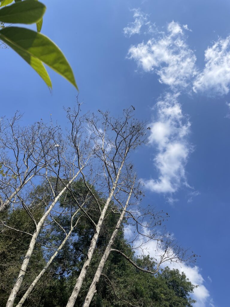 Afinal, a morte é mesmo o fim? O que as culturas africanas nos ensinam?