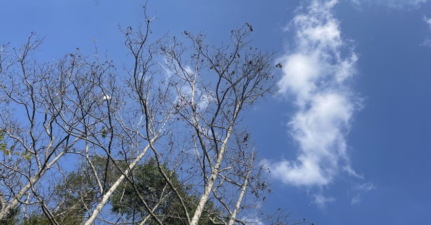 Afinal, a morte é mesmo o fim? O que as culturas africanas nos ensinam?